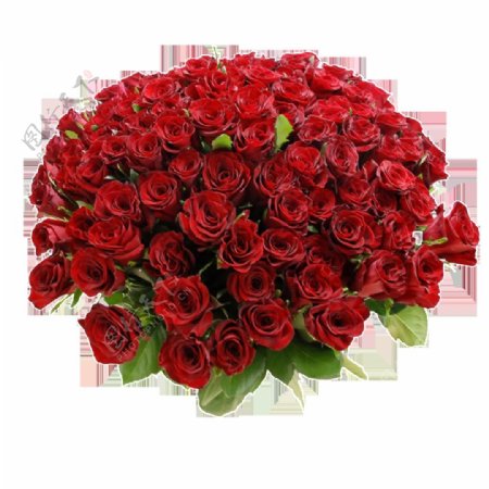 红色玫瑰花大花束爱情