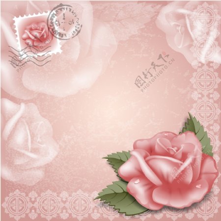 玫瑰花粉色边框装饰