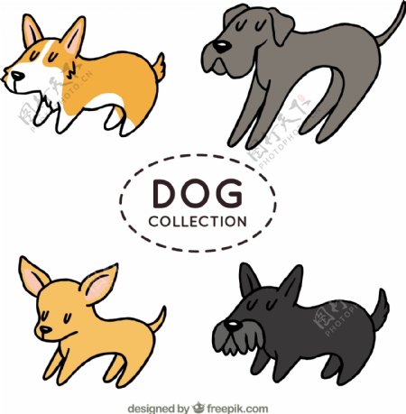 手绘不同品种的狗矢量素材