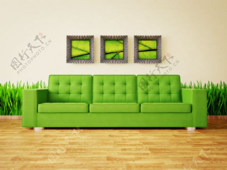 绿色沙发和植物图片