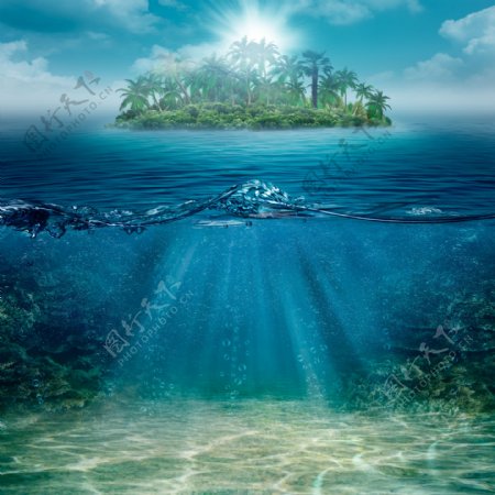 大海与岛屿上的椰树图片