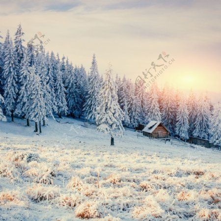 美丽房屋树林雪景图片