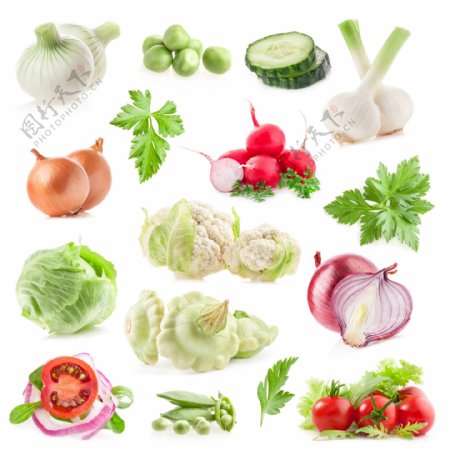各种蔬菜高清摄影图片