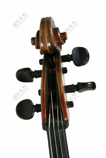小提琴琴头图片