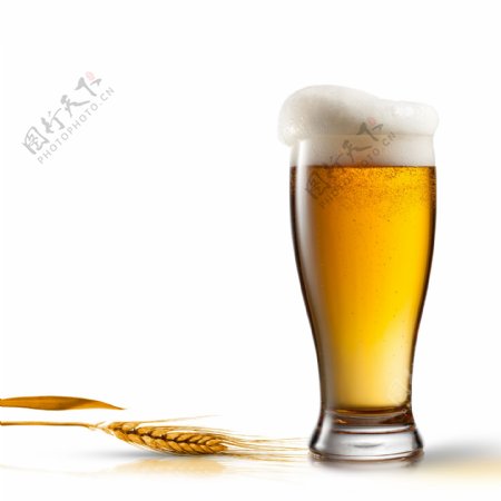 麦穗与啤酒图片