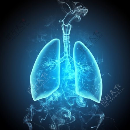肺器官与烟雾图片