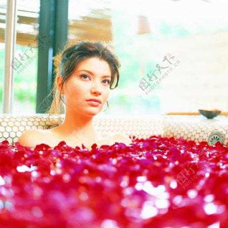 花瓣浴池里的美女图片