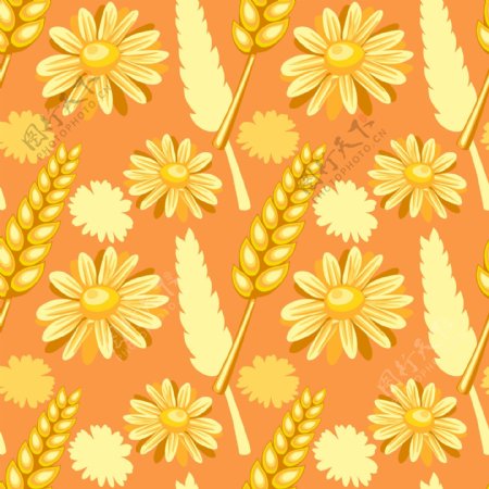 花朵麦穗麦子图片
