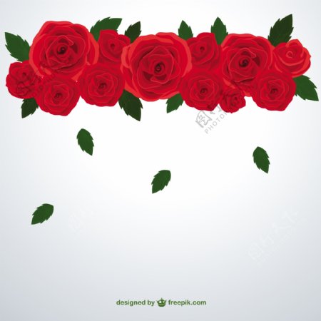 红色玫瑰和落叶