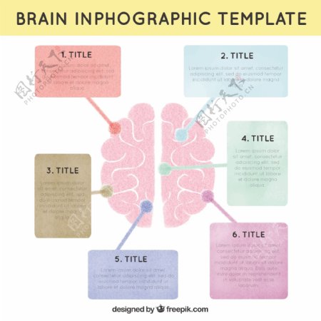 人类大脑的信息图表模板在柔和的颜色
