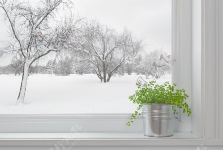 窗户外的冬季风景图片