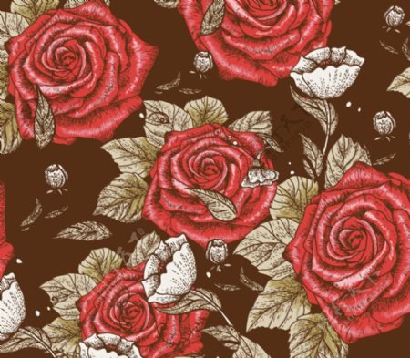 红色玫瑰花背景矢量素材