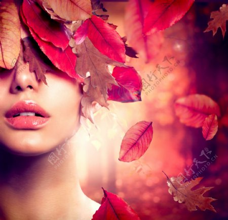 秋天树叶与美女图片