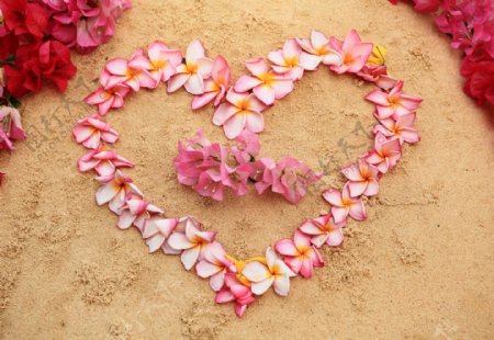 沙滩上的粉色心形花朵图片