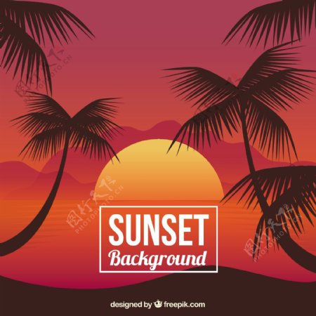 日落背景与棕榈树