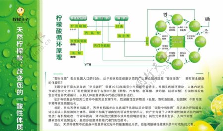 柠檬的药用价值80cmx50c