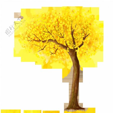 黄色树叶手绘树