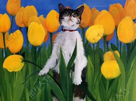 猫咪宠物手绘画31猫