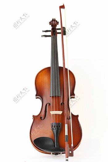 小提琴特写高清图片