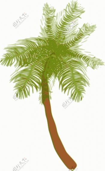 椰子树的剪辑艺术