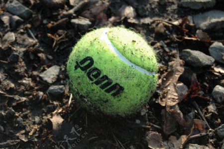 地上被弄脏的网球