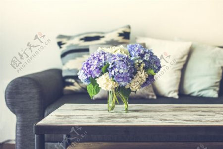 花卉沙发客厅效果图