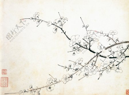 梅花图a花鸟画中国古画0351