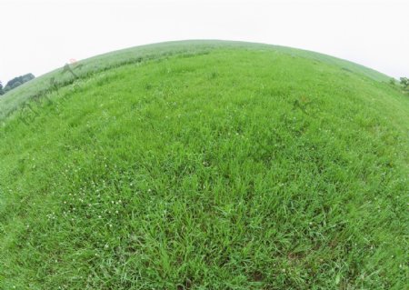 圆形绿色草地高清图片素材