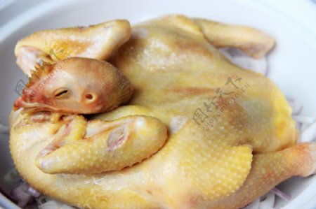 砂锅干焖鸡图片