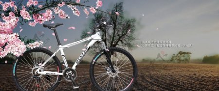 自行车广告