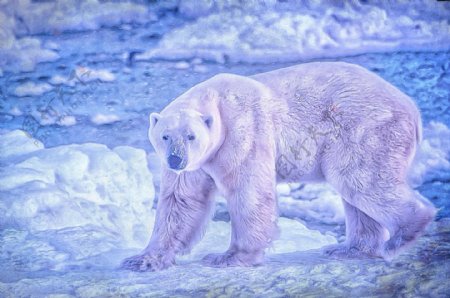 北极熊油画