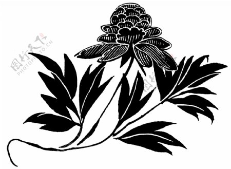 花鸟图案两宋时代图案中国传统图案044