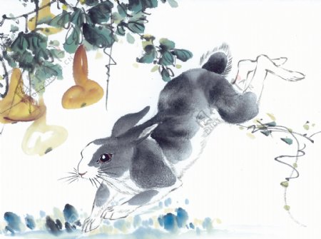 兔十二生肖中国画0023