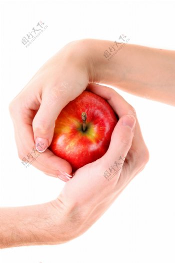 手握苹果高清图片