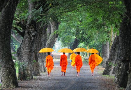 打伞的印度佛教圣人图片
