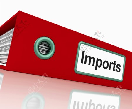 进口货物和商品的进口文件显示