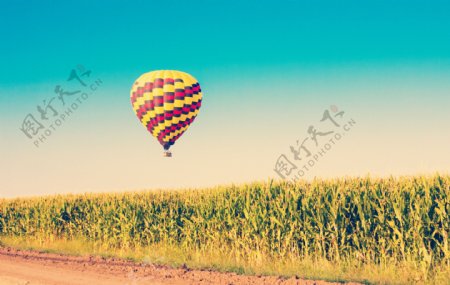 玉米地上空的热气球