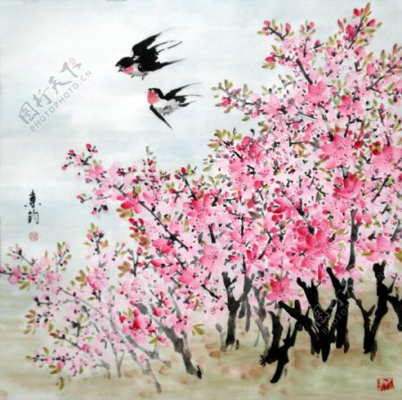 中国花鸟国画图片