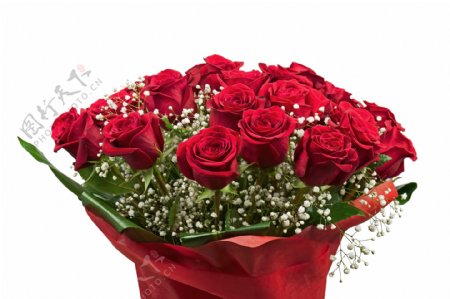 鲜艳红色玫瑰花束图片