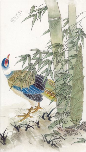 花鸟中国画14