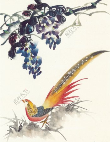 花鸟中国画58