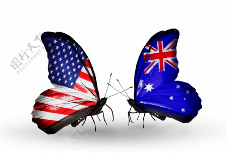 美国澳大利亚国旗蝴蝶