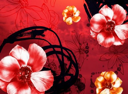 花卉红色背景墙