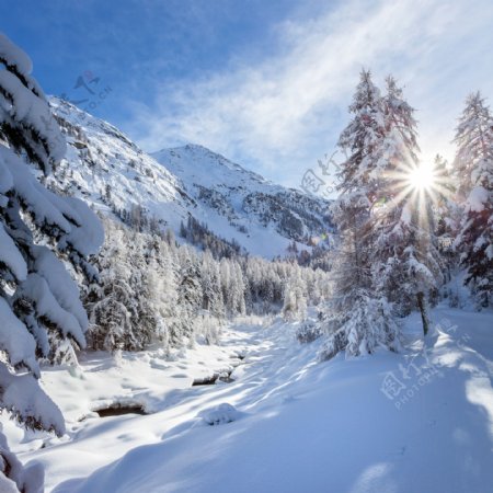 雪景图片