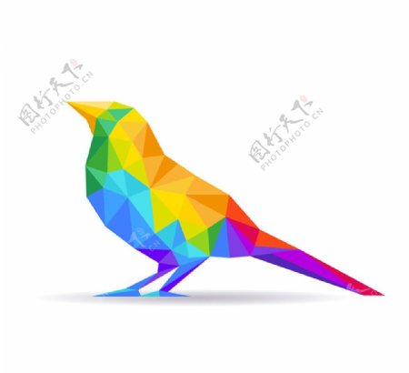 彩色抽象鸟设计矢量素材