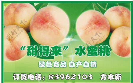 水蜜桃广告