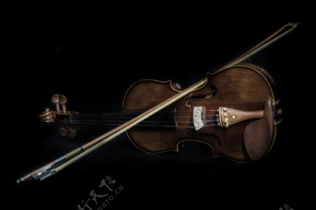 小提琴乐器图片