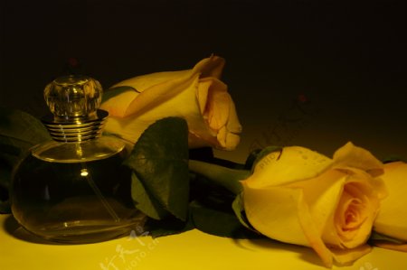 两朵玫瑰花和精油图片
