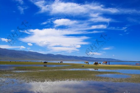 青海湖美景图片