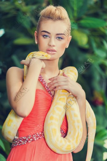 黄金蟒蛇缠绕的女人图片